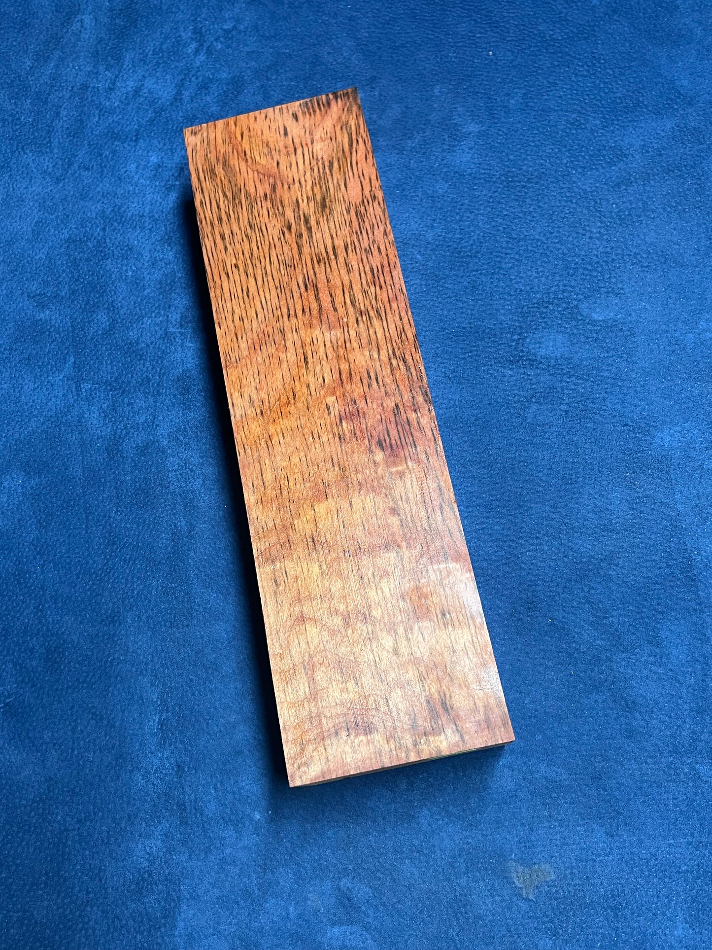 Tiger Myrtle. 335x93x51mm