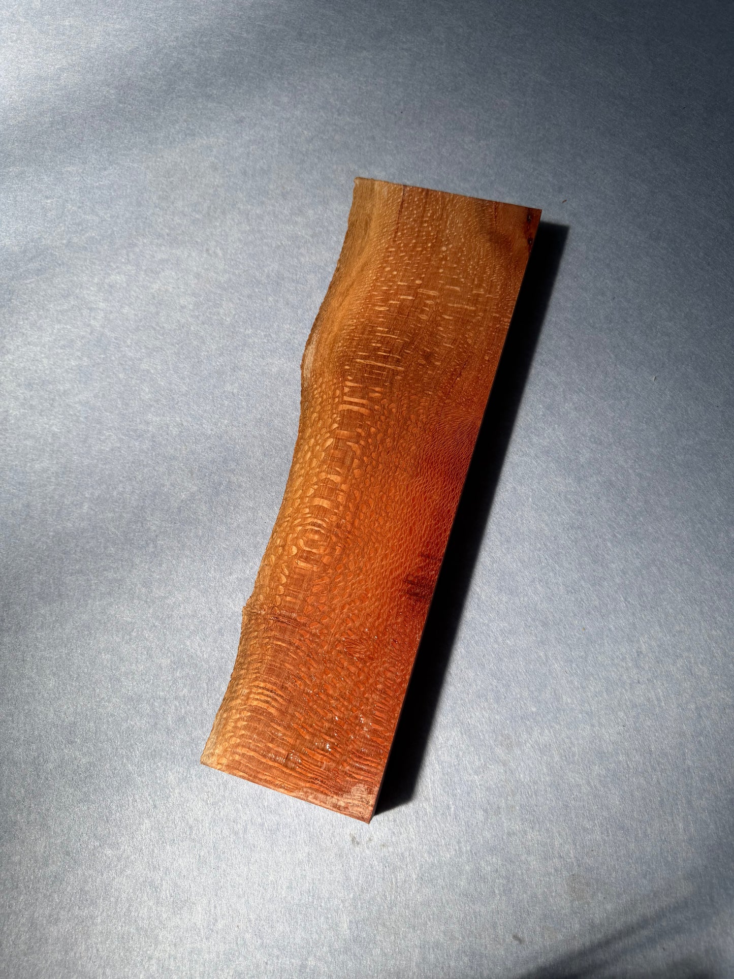 Macadamia    395x85-105x31mm