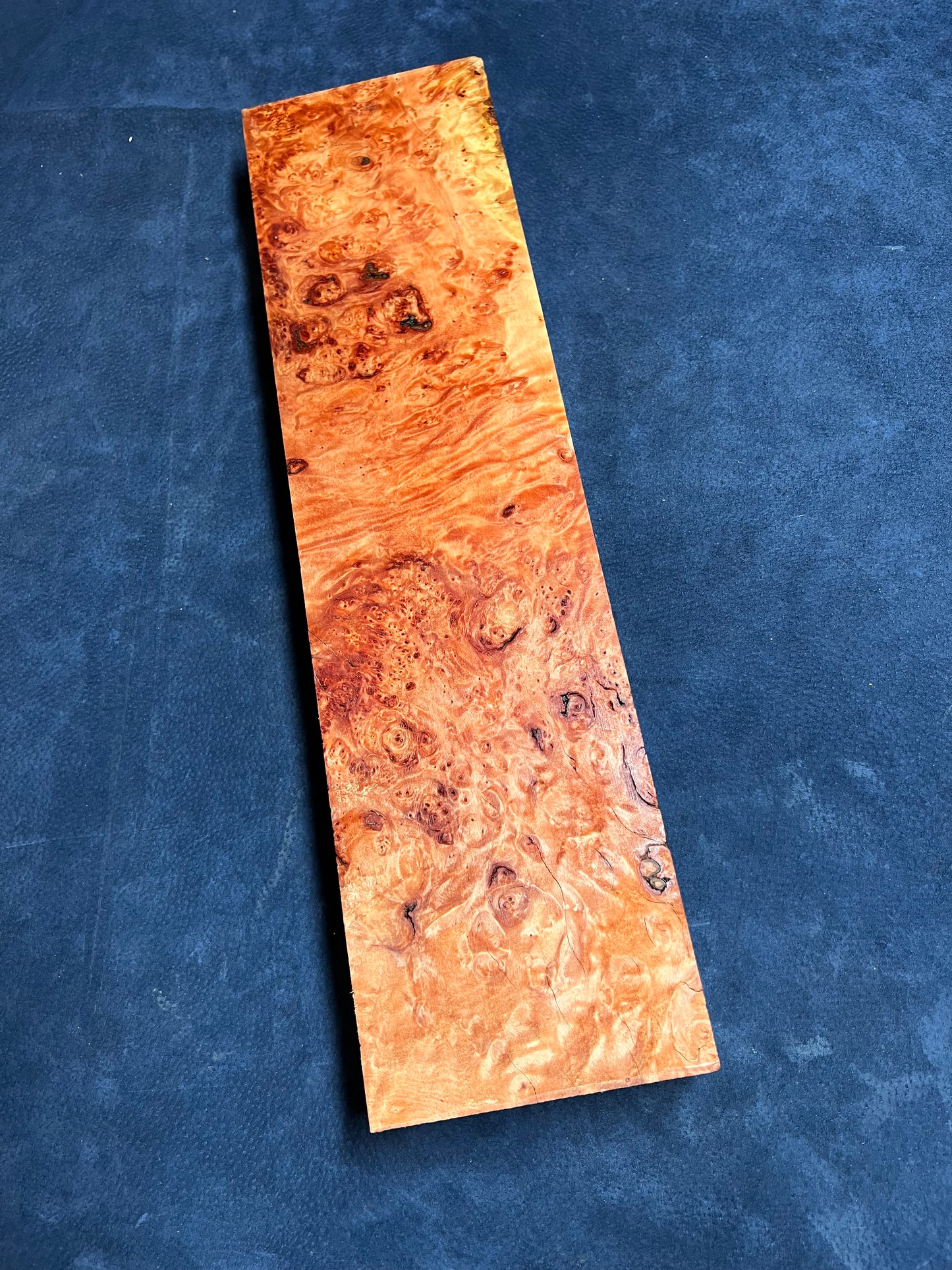 Myrtle Beech Burl 475x120x41mm