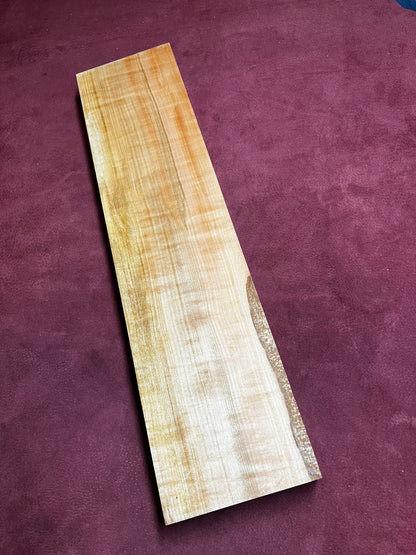Myrtle Beach 575x137x41mm