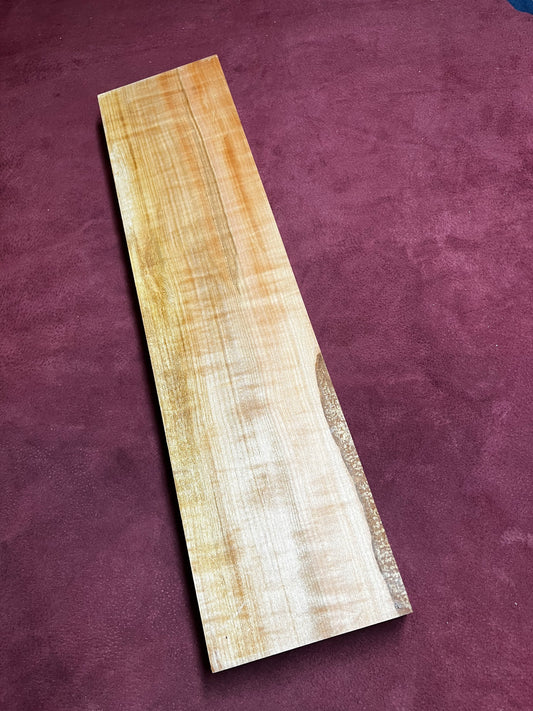 Myrtle Beach 575x137x41mm
