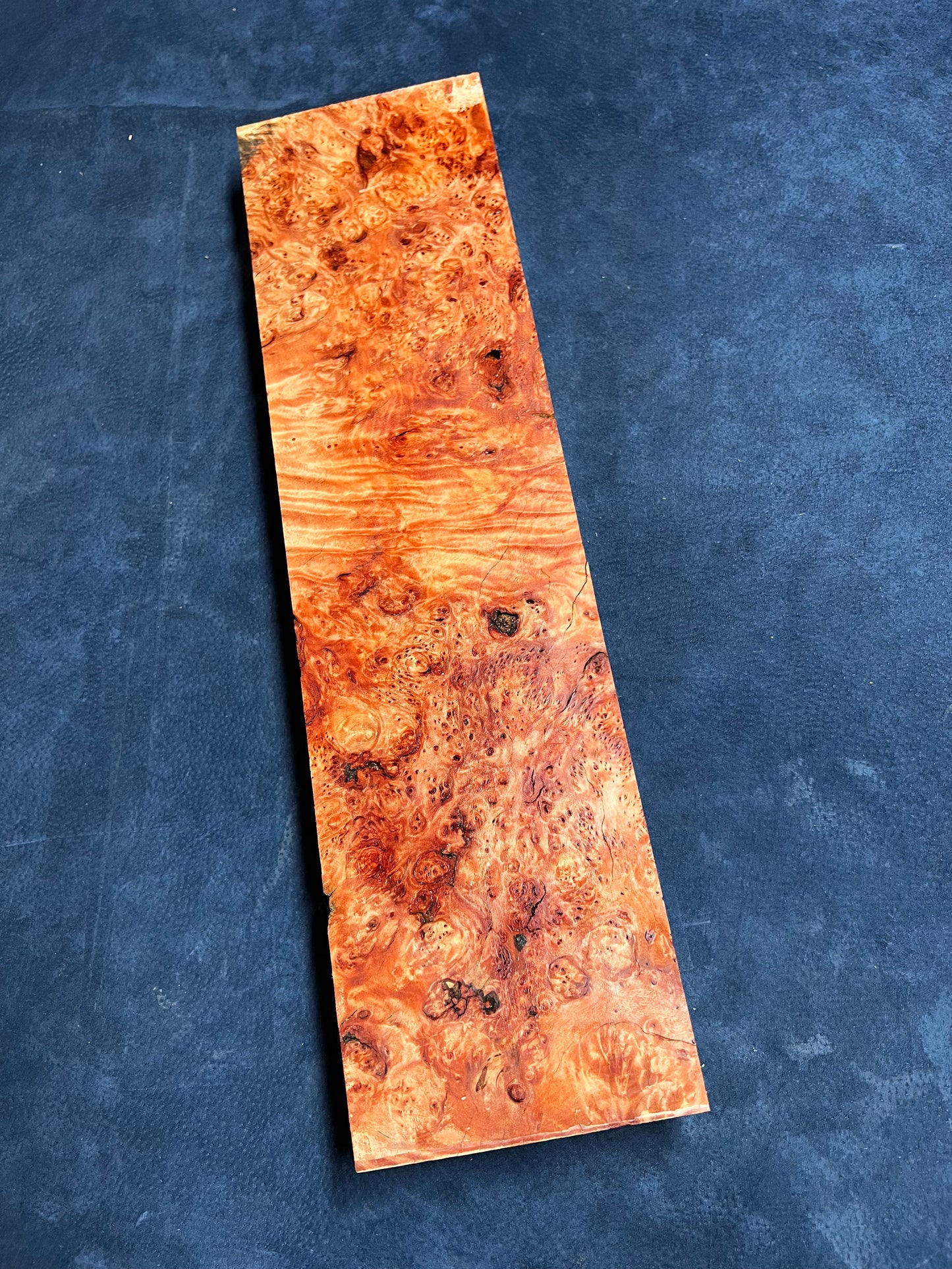 Myrtle Beech Burl 475x120x41mm