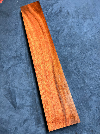 Beefwood 590x105x35mm