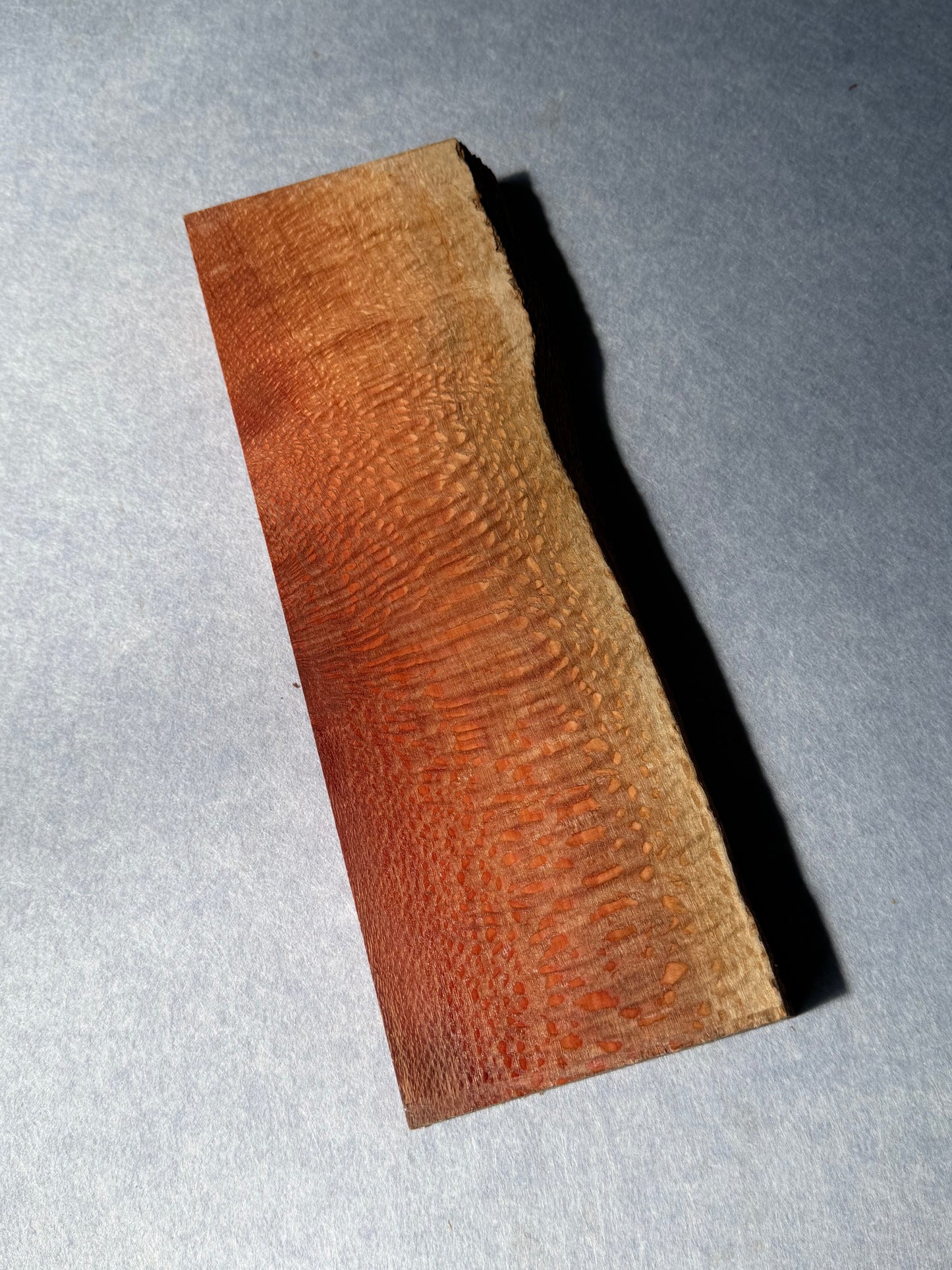 Macadamia 315x100-110x31mm