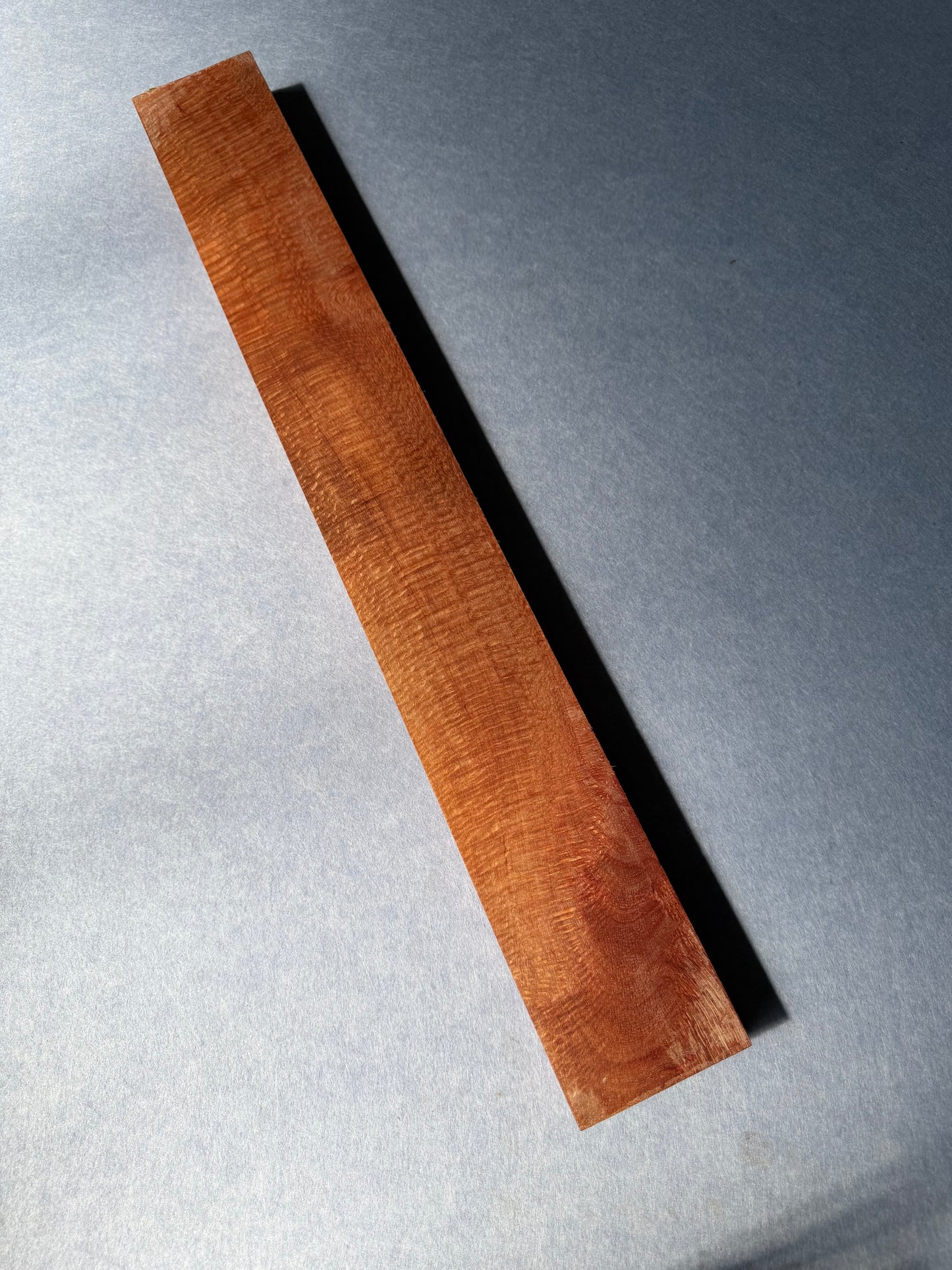 Macadamia 605x75x31mm