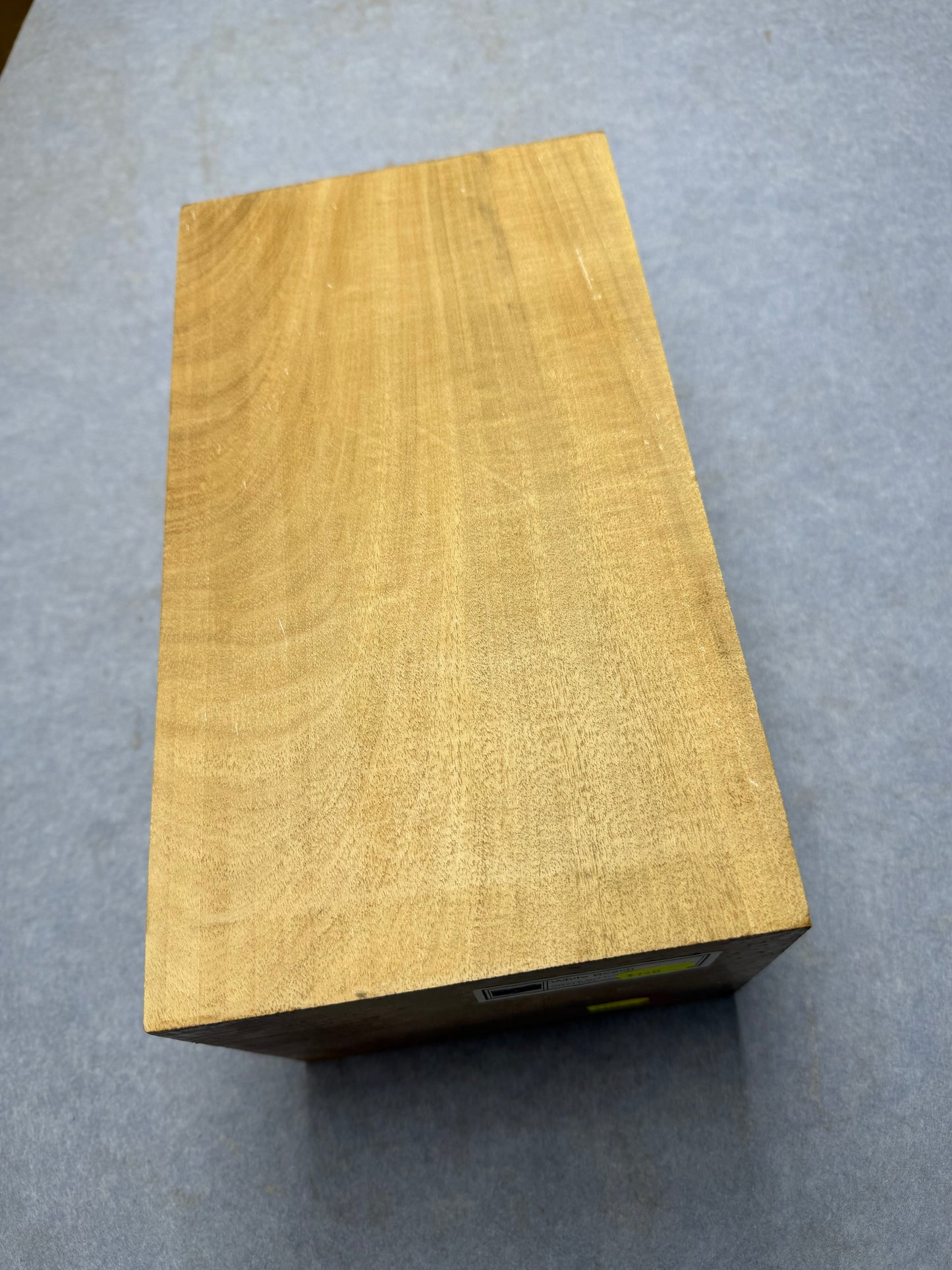 White Beech       295x162x139mm