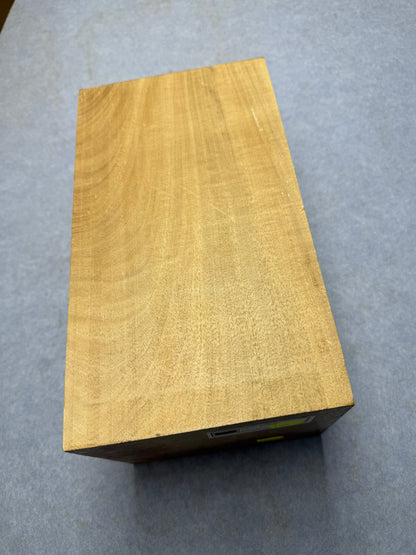 White Beech       295x162x139mm