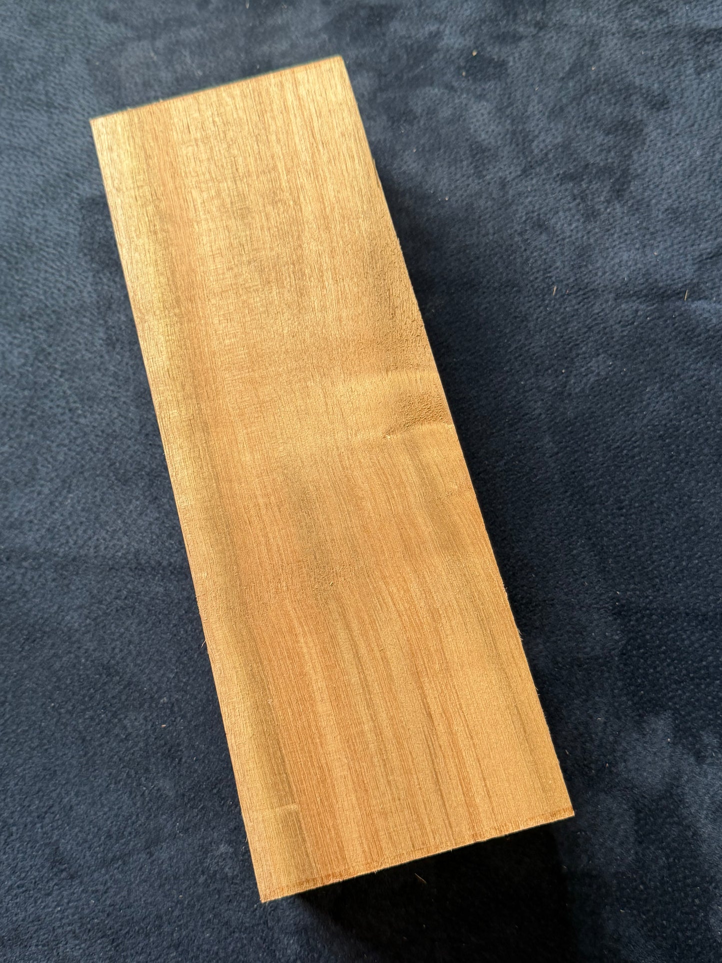 Brown Beech. 310x108x67mm