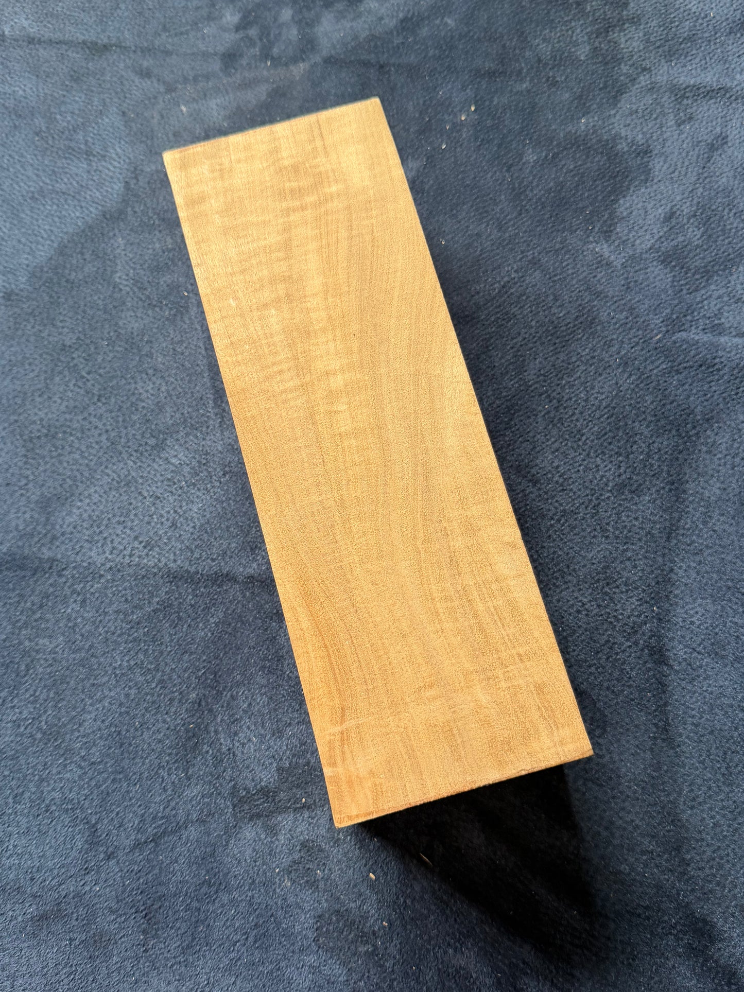 Australian White Beech. 290x98x83mm