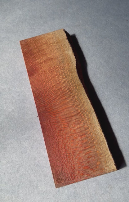 Macadamia 315x100-110x31mm