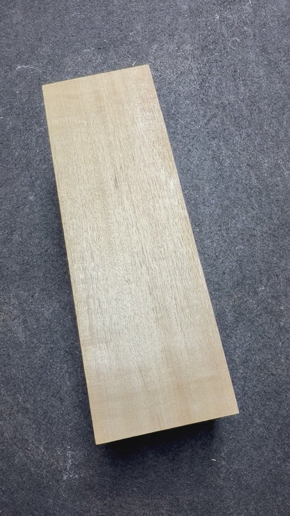 White Beech      275x92x90mm