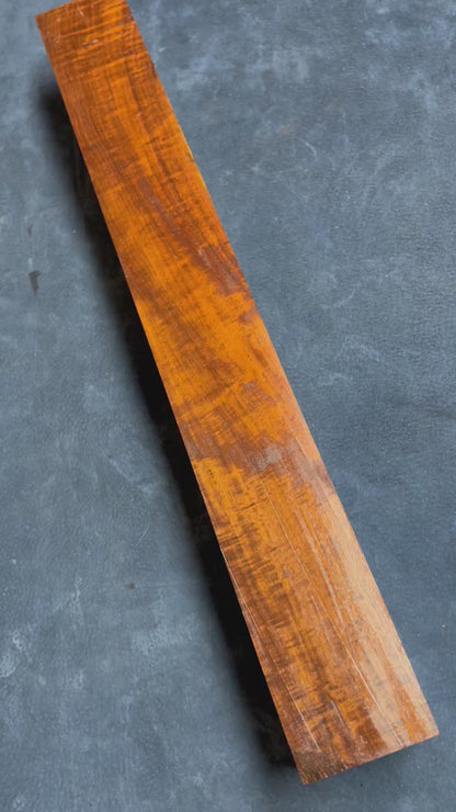 Gidgee              490x64x61mm
