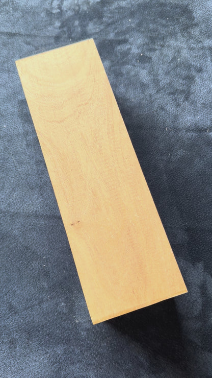 Australian White Beech. 320x100x98mm