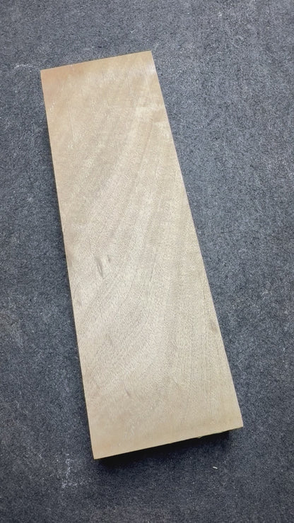 White Beech      340x107x52mm