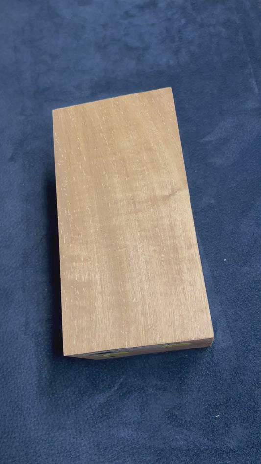 Australian White Beech 175x103x58mm