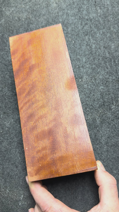 Rose Mahogany. 235x91x73mm