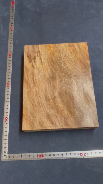 Plane Tree   231x173x37mm