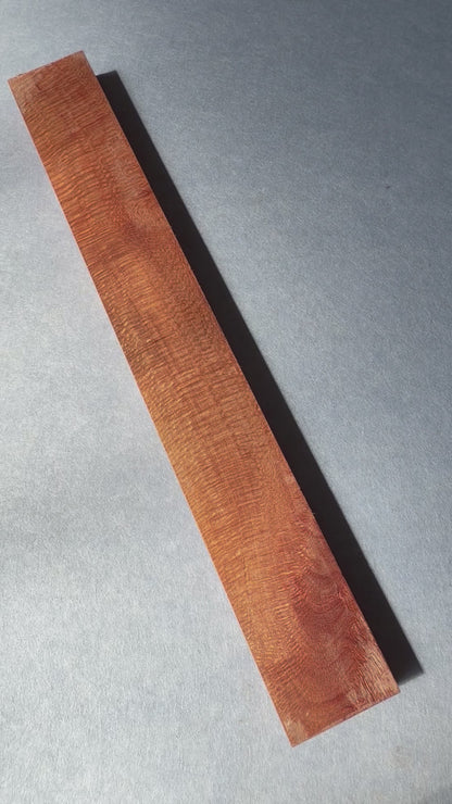 Macadamia 605x75x31mm