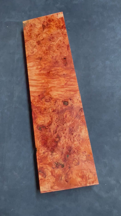 Myrtle Beech Burl 475x120x41mm