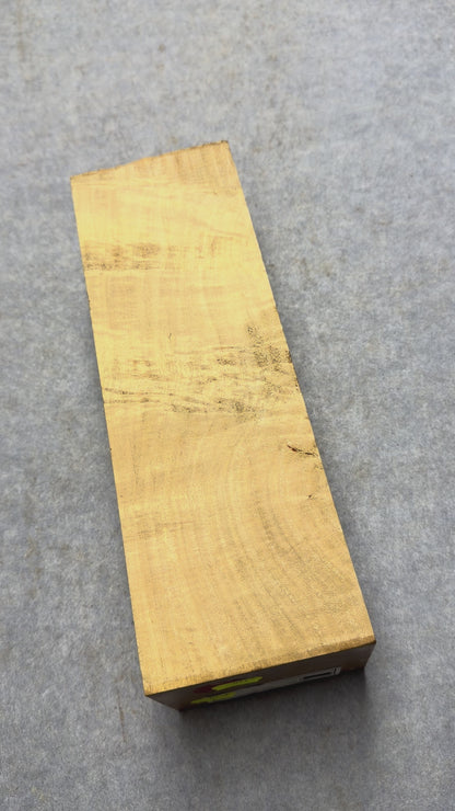 White Beech      285x93x79mm