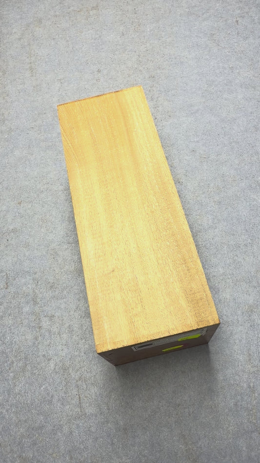 White Beech      280x102x102mm