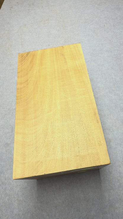 White Beech       295x162x139mm