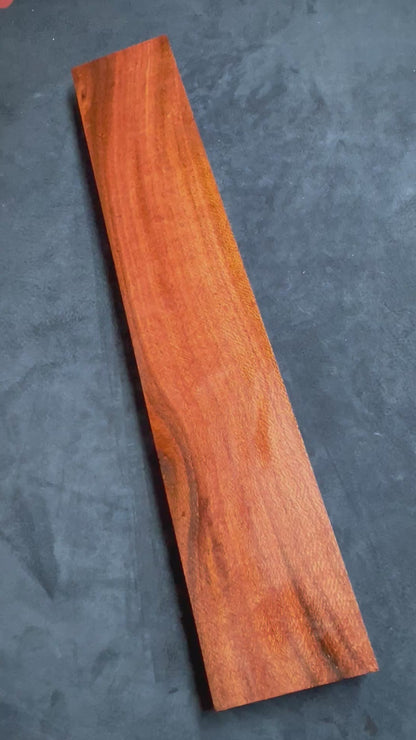 Beefwood 590x105x35mm
