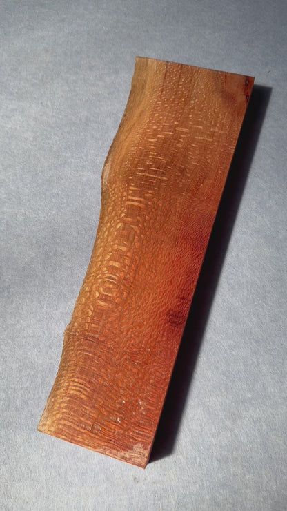 Macadamia    395x85-105x31mm