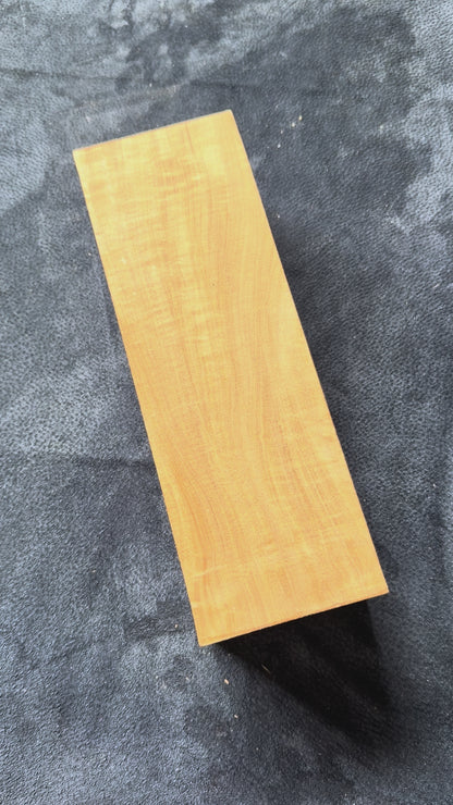 Australian White Beech. 290x98x83mm