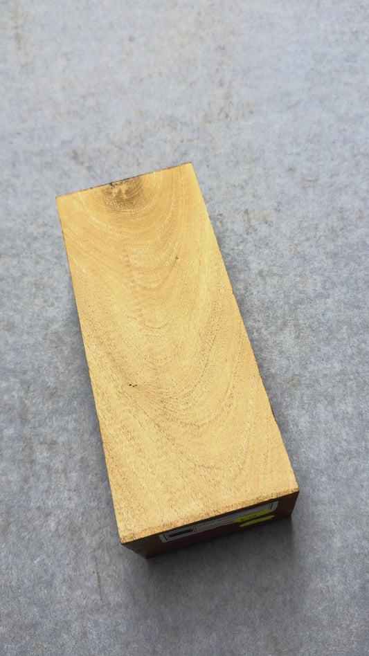 White Beech      225x92x77mm