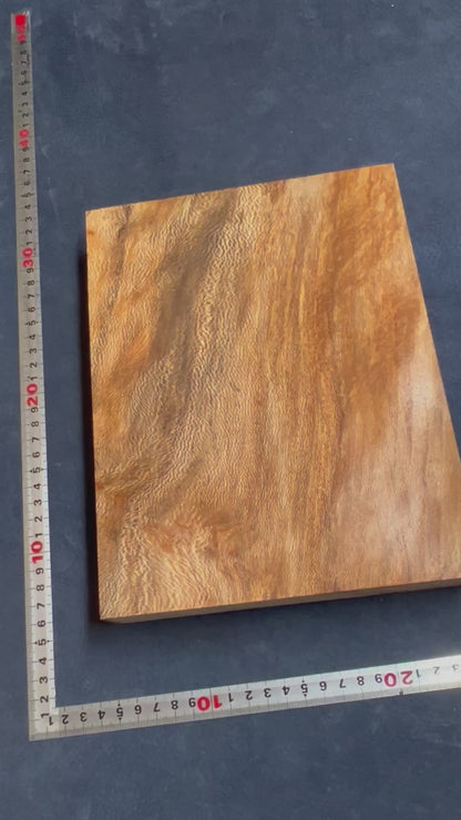 Plane Tree   247x191x37mm